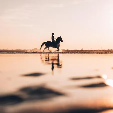 Appartamento Près De Deauville, Vue Mer, Parking