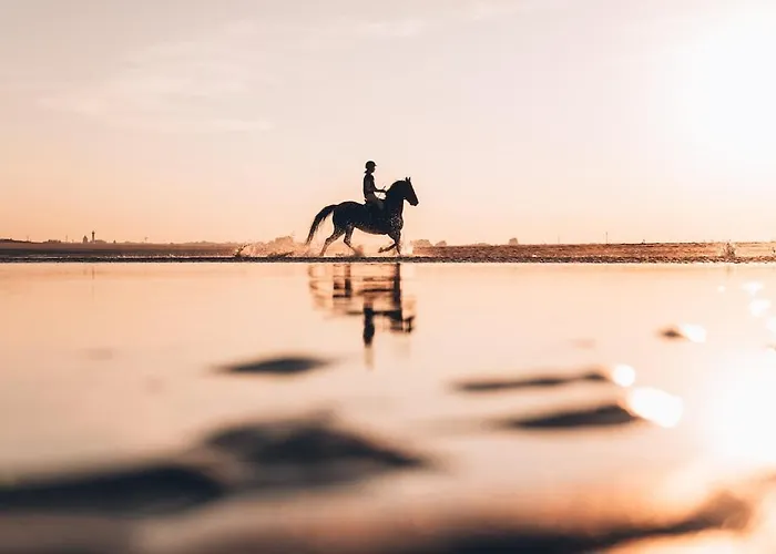 Appartement Pres De Deauville, Vue Mer, Parking